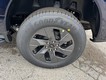 2025 Ford F-150 Lightning Flash thumbnail image 06