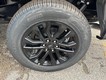 2025 Ford F-150 XLT 4WD SuperCrew Box thumbnail image 06