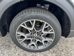 2025 Ford Explorer Platinum thumbnail image 06