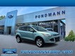 2013 Ford Escape SE thumbnail image 01