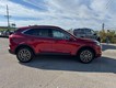 2025 Ford Escape PHEV thumbnail image 02