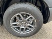 2025 Ford Bronco Sport Big Bend thumbnail image 06