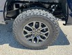 2025 Ford F-150 Tremor thumbnail image 06