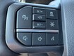 2025 Ford F-150 Tremor thumbnail image 12