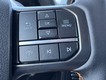 2025 Ford F-150 Tremor thumbnail image 13