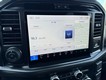 2025 Ford F-150 Tremor thumbnail image 15