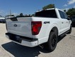 2025 Ford F-150 XLT thumbnail image 03
