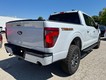 2025 Ford F-150 Tremor thumbnail image 03