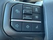 2025 Ford F-150 Tremor thumbnail image 12