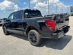 2025 Ford F-150 Platinum thumbnail image 05