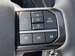 2025 Ford F-150 Platinum thumbnail image 13