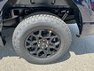2025 Ford F-150 XLT thumbnail image 06