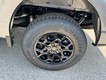 2025 Ford F-150 XLT thumbnail image 06