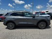 2025 Ford Escape PHEV thumbnail image 02