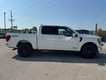 2025 Ford F-150 Platinum thumbnail image 02