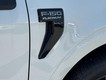 2025 Ford F-150 Platinum thumbnail image 11