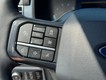 2025 Ford F-150 Platinum thumbnail image 14