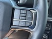 2025 Ford F-150 Platinum thumbnail image 15
