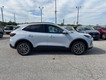 2025 Ford Escape PHEV thumbnail image 02