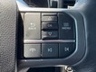 2022 Ford F-150 4WD XLT SuperCrew thumbnail image 17