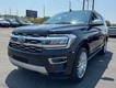 2024 Ford Expedition Platinum thumbnail image 08