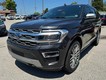2022 Ford Expedition Platinum thumbnail image 08