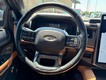 2022 Ford Expedition Platinum thumbnail image 14