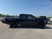 2025 Ford F-150 XLT thumbnail image 02