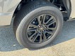 2025 Ford F-150 4WD STX SuperCrew thumbnail image 06