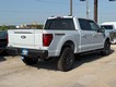 2025 Ford F-150 Tremor thumbnail image 03