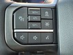 2025 Ford F-150 Tremor thumbnail image 11