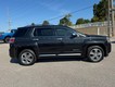 2013 GMC Terrain Denali thumbnail image 02