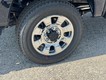 2025 Ford Super Duty F-350 SRW LARIAT thumbnail image 04