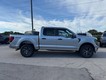 2025 Ford F-150 STX thumbnail image 02