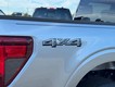 2025 Ford F-150 STX thumbnail image 04