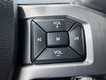 2017 Ford F-150 4WD Platinum SuperCrew thumbnail image 18