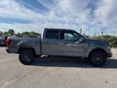 2025 Ford F-150 Tremor thumbnail image 02