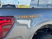 2025 Ford F-150 Tremor thumbnail image 04