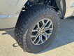2025 Ford F-150 Tremor thumbnail image 05