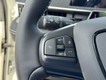 2025 Ford Mustang Mach-E GT thumbnail image 14