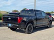 2025 Ford F-150 XLT thumbnail image 03