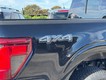 2025 Ford F-150 XLT thumbnail image 04