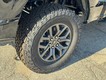 2025 Ford F-150 Tremor thumbnail image 05