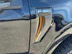 2025 Ford F-150 Tremor thumbnail image 12