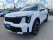 2025 Kia Sorento EX thumbnail image 08