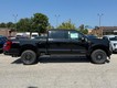 2026 Ford Super Duty F-350 SRW Platinum thumbnail image 02