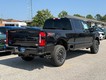 2026 Ford Super Duty F-350 SRW Platinum thumbnail image 03