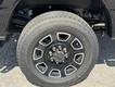 2026 Ford Super Duty F-350 SRW Platinum thumbnail image 04