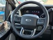 2026 Ford Super Duty F-350 SRW Platinum thumbnail image 10