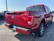 2016 Ford F-150 4WD XLT SuperCrew thumbnail image 03